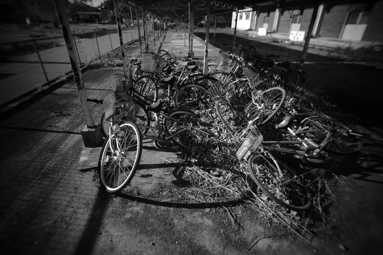 Takeshi Yamamoto