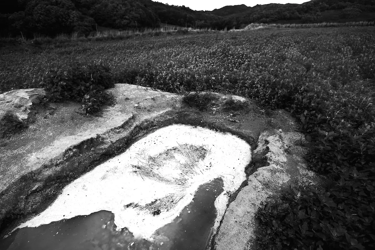 Takeshi Yamamoto