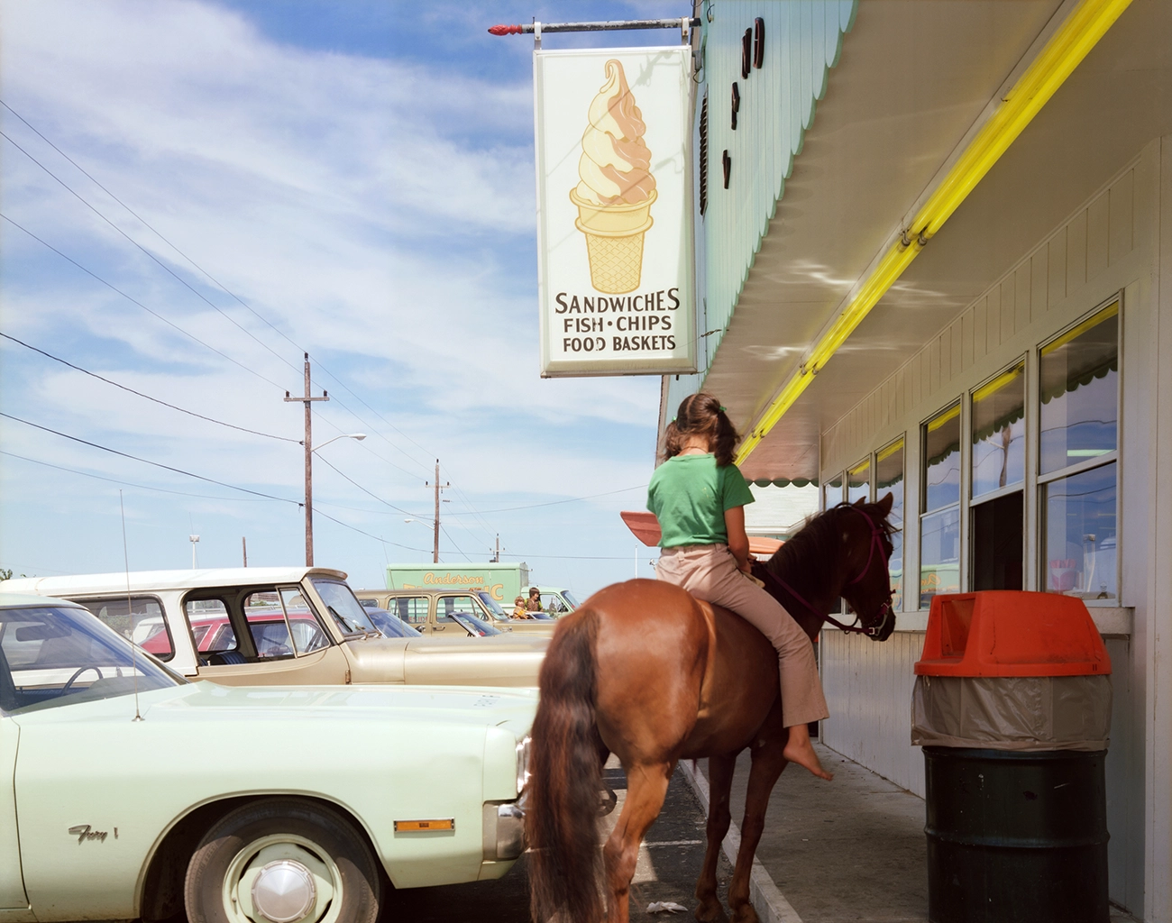 Joel Meyerowitz