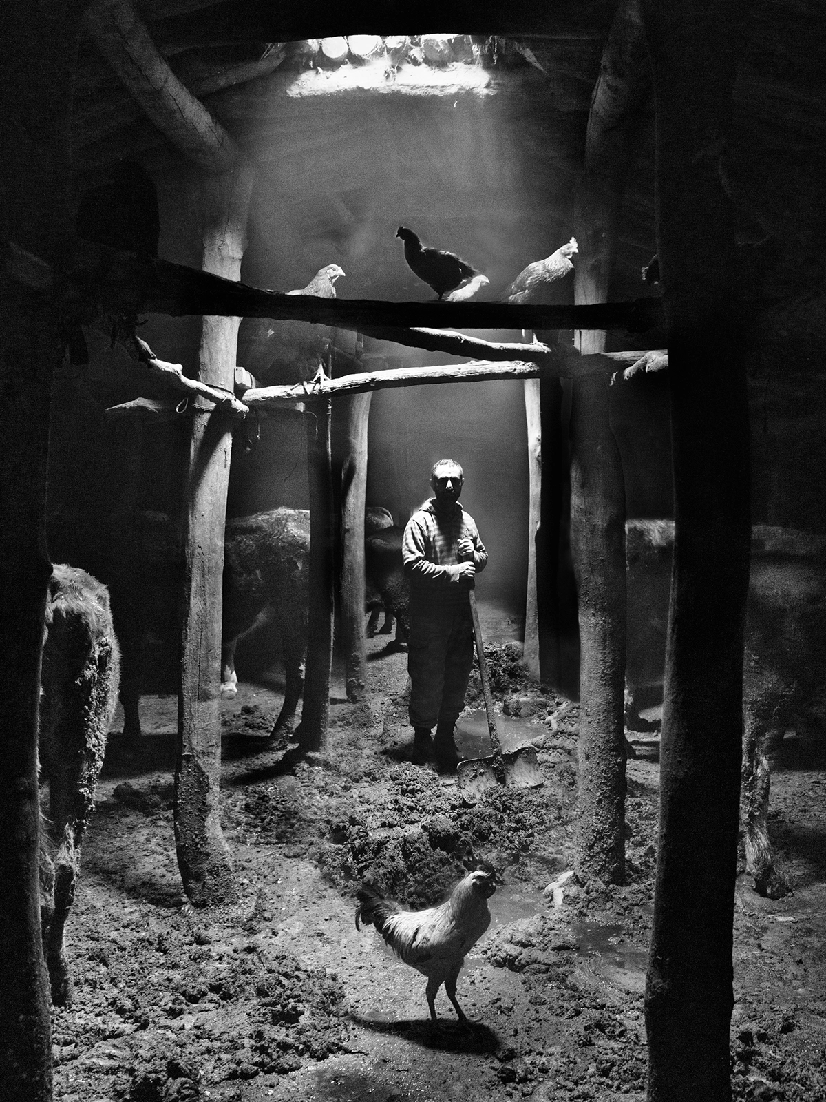 Oliver Klink