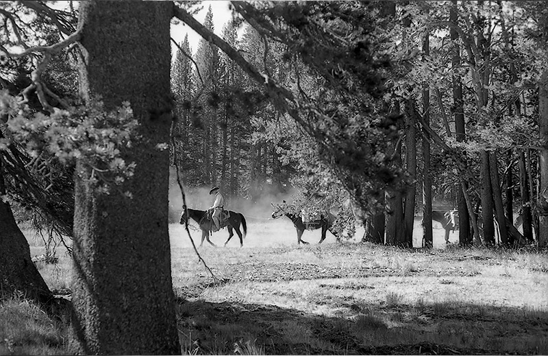 Jonas Kulikauskas: Yosemite People | Photo Article