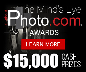 All About Photo Awards 2017 All About Photo Awards 2017