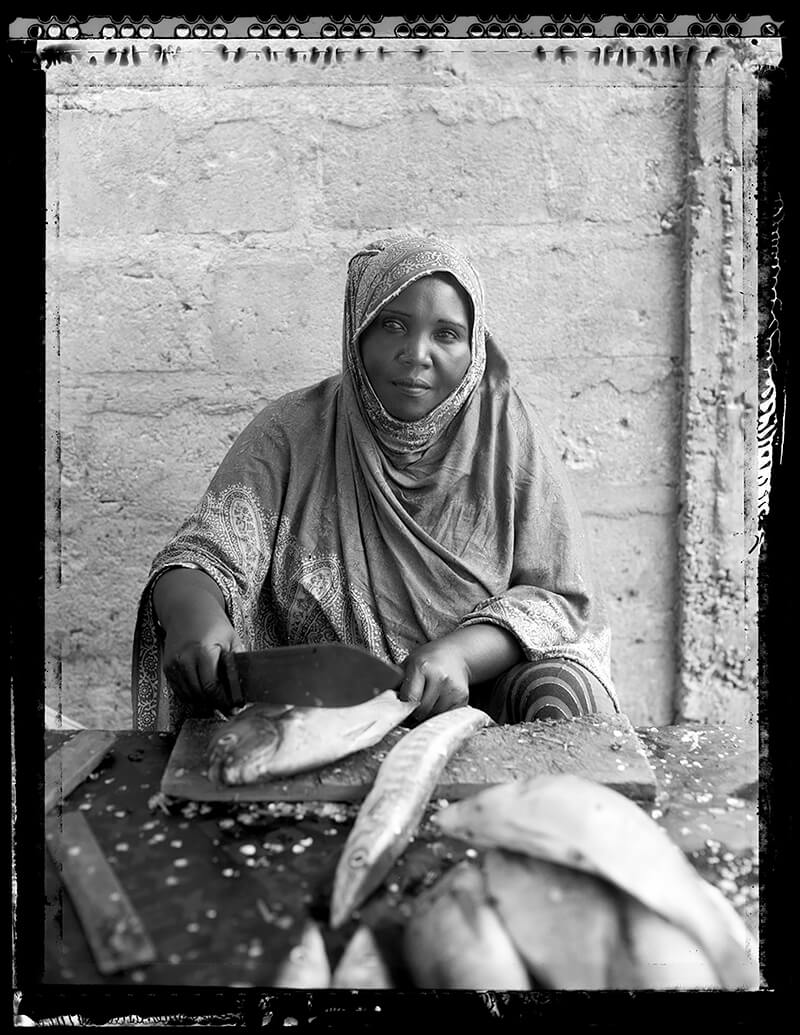 Laena Wilder - Marym Fishseller