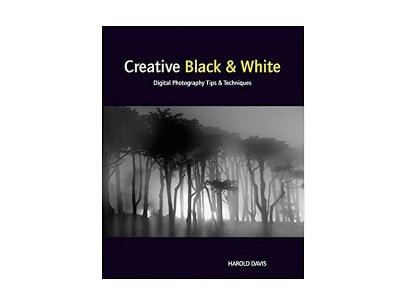 Creative Black and White by Harold Davis Creative Black and White by Harold Davis