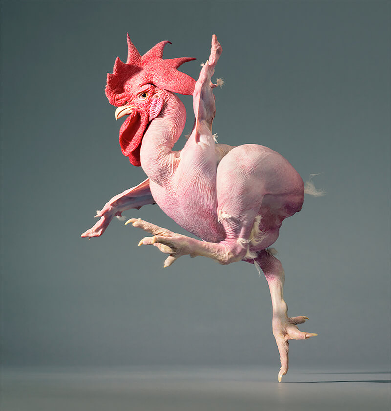 Tim Flach