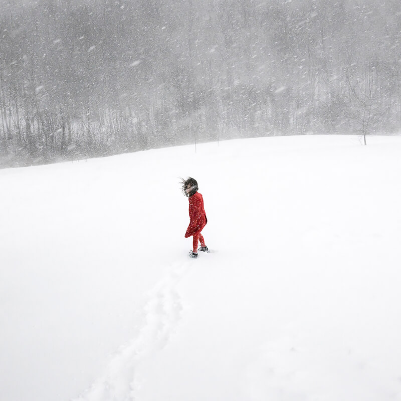 Cig Harvey - Scout in the blizzard