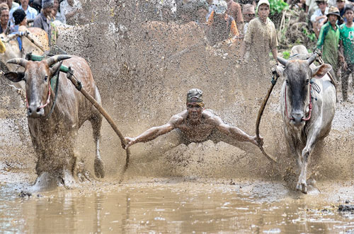 Not Superman © Irwansyah, Indonesia, 1st place, Indonesia National Award