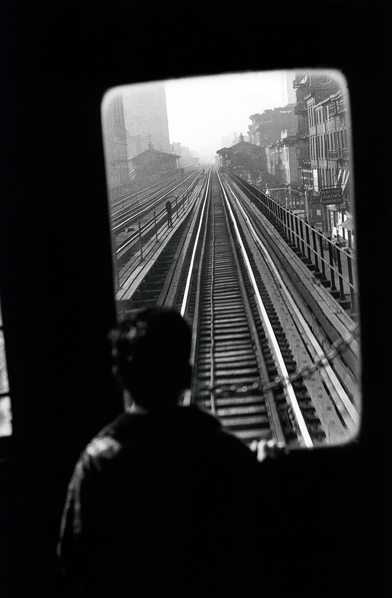 Elliott Erwitt - From Here to There. 2009.