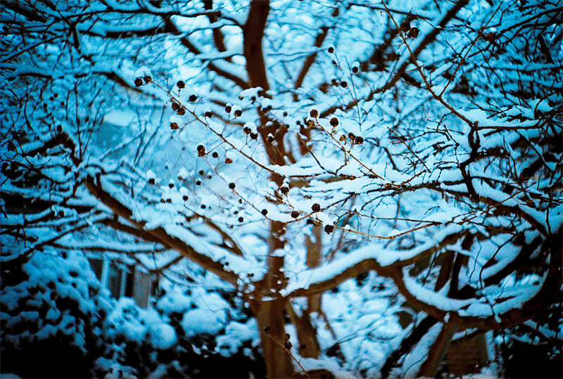 Something Blue Something Blue