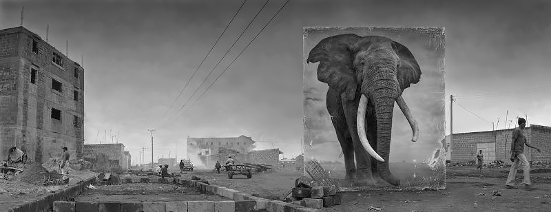 Nick Brandt