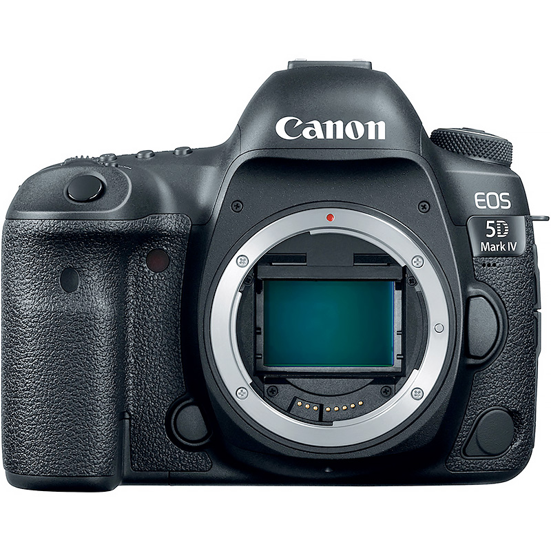 top 5 canon dslr
