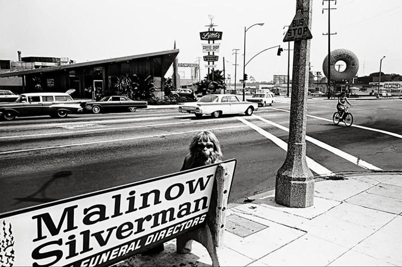 Dennis Stock