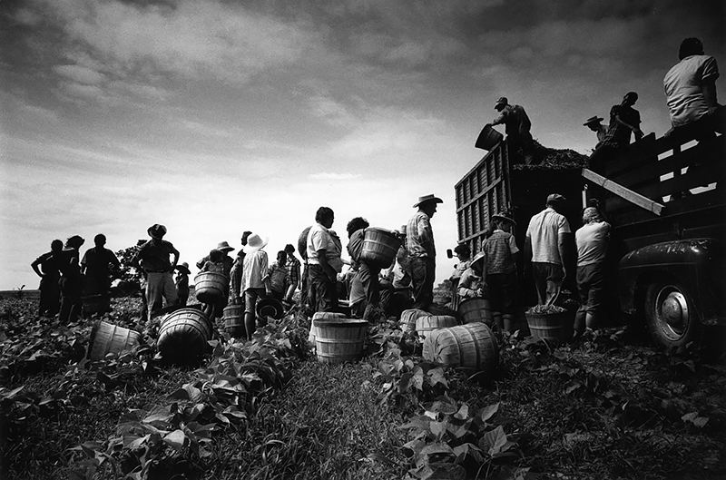 Steve Schapiro