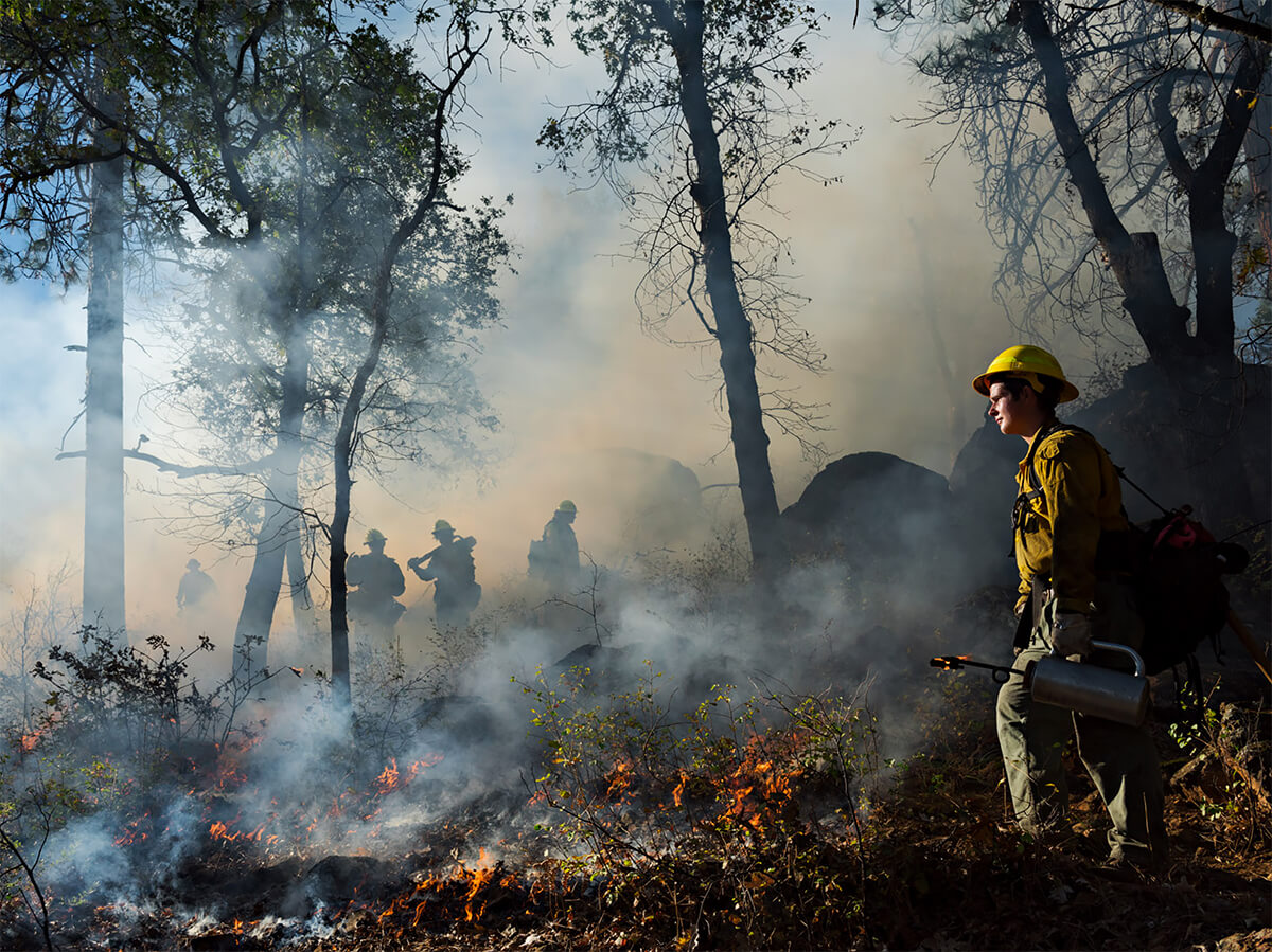 Lucas Foglia