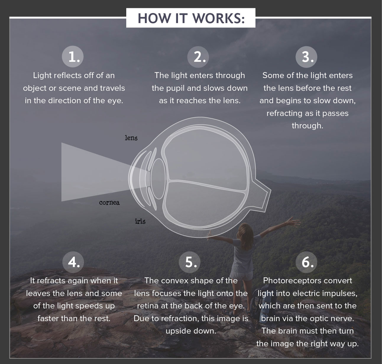 Camera lenses vs human eyes