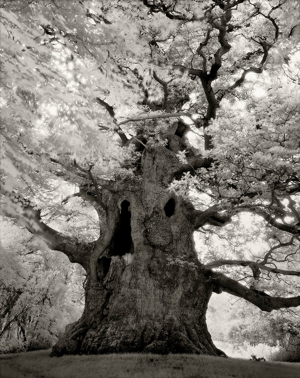 Beth Moon