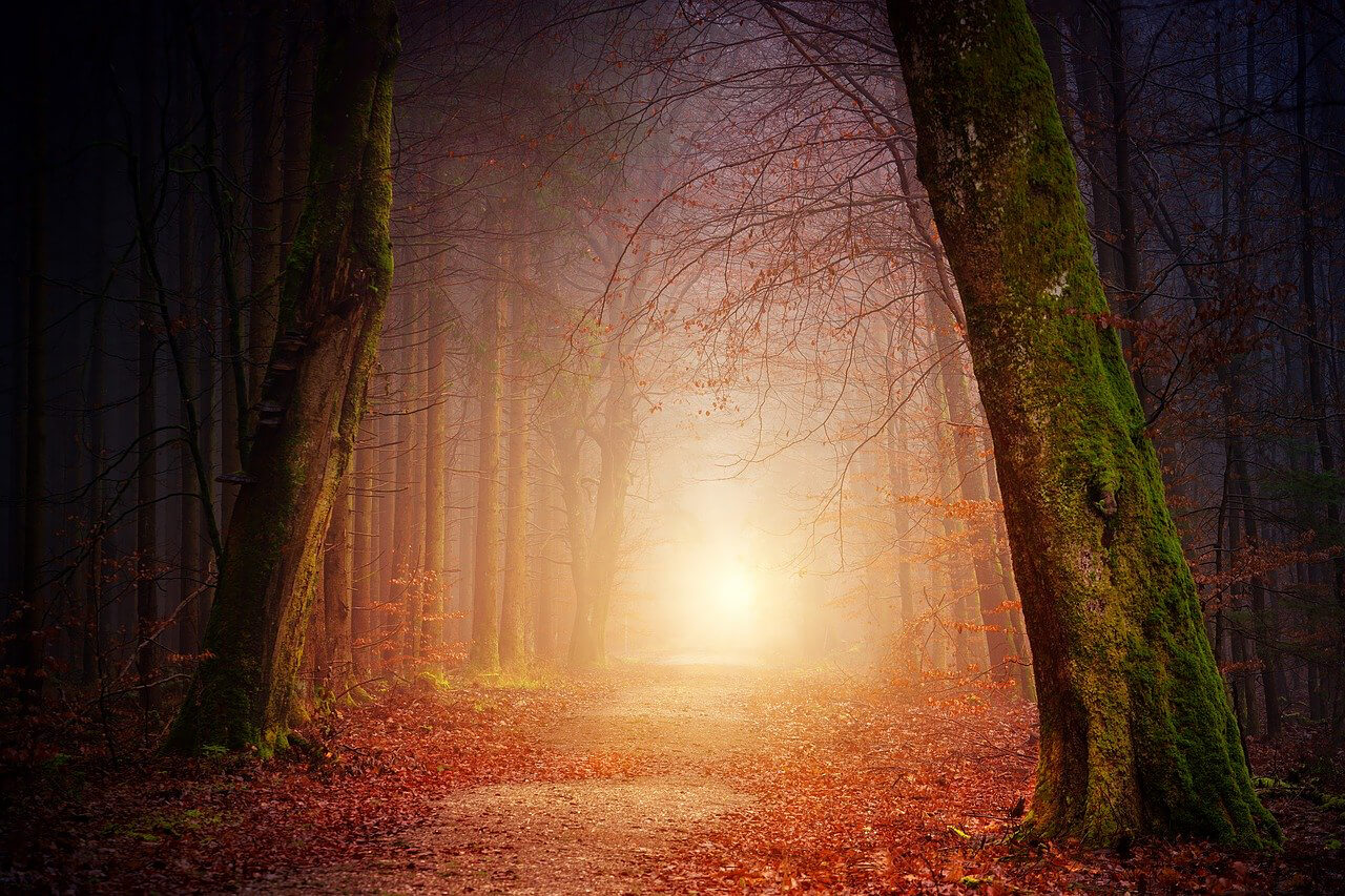 color and light