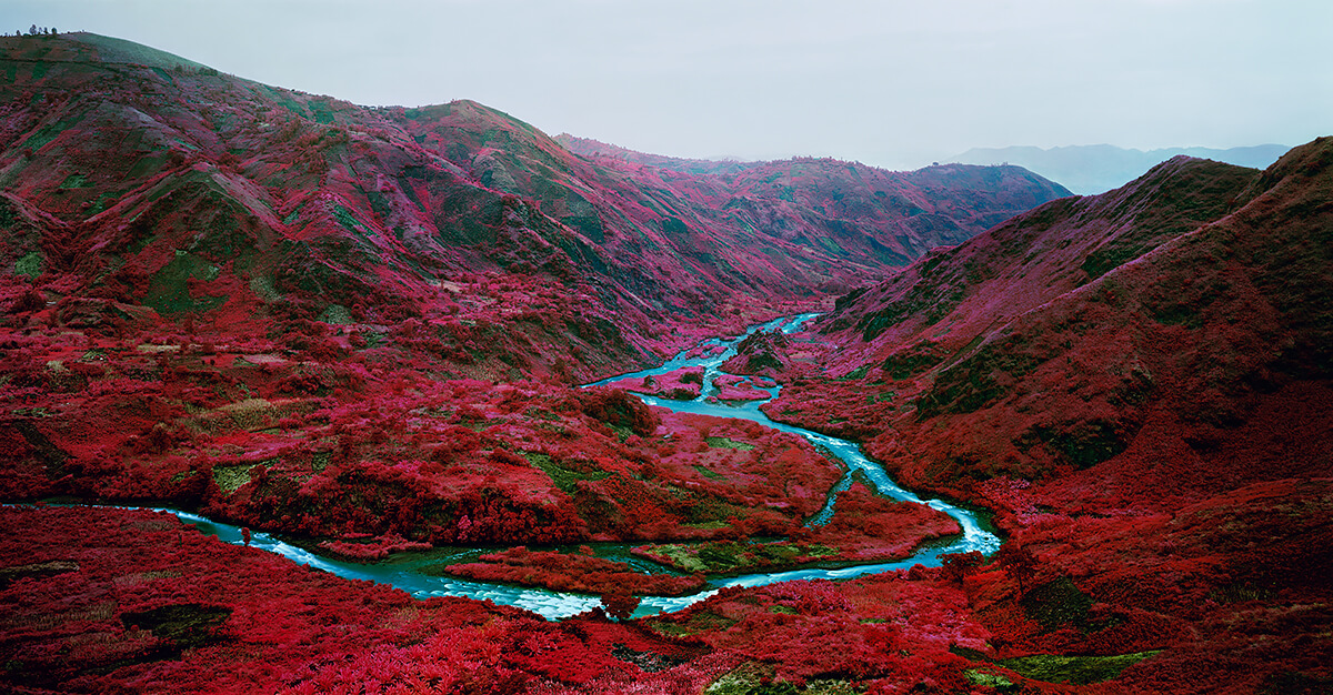 Richard Mosse