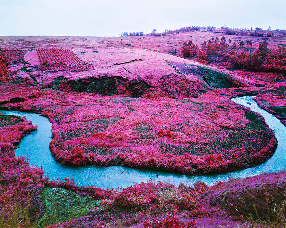 Richard Mosse