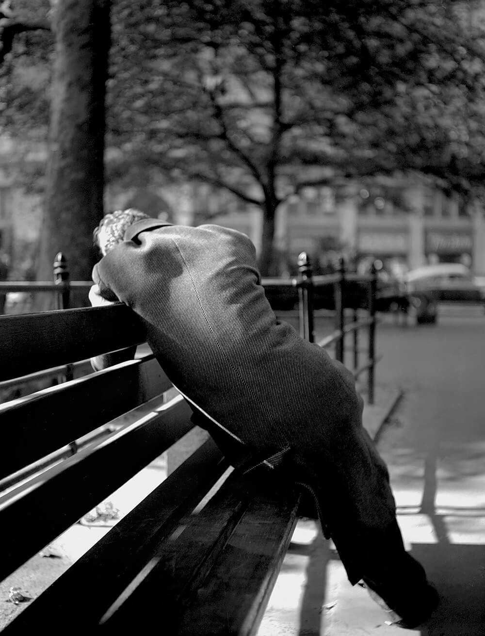 Fred Stein