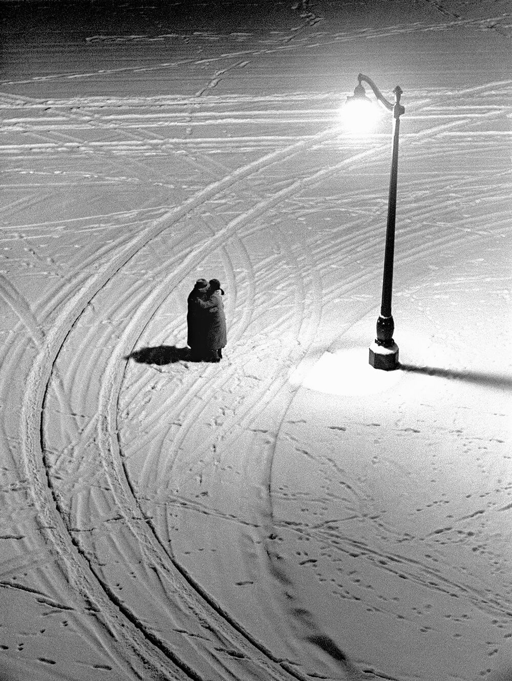 Fred Stein