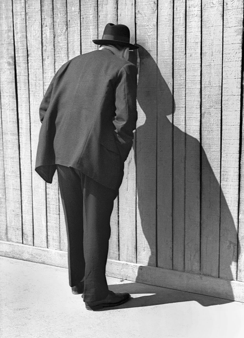 Fred Stein