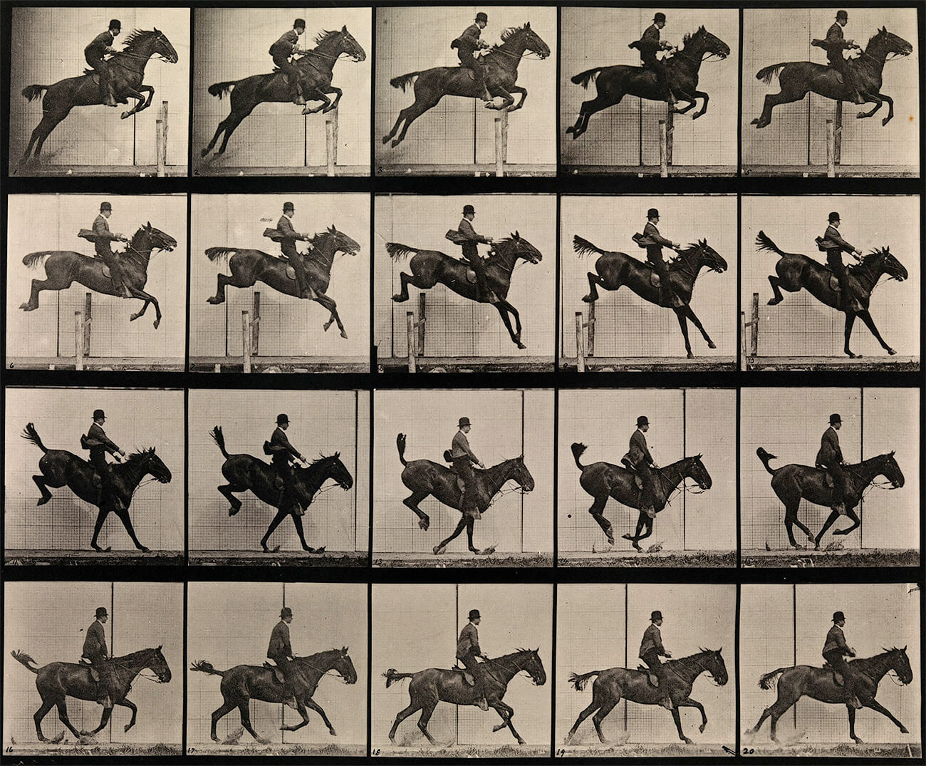 Eadweard Muybridge