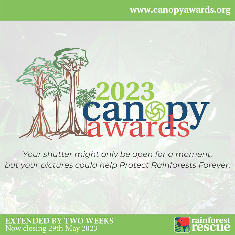 The Rainforest Rescue Canopy Awards 2023 The Rainforest Rescue Canopy Awards 2023