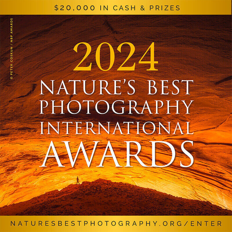 2024 Nature’s Best Photography International Awards