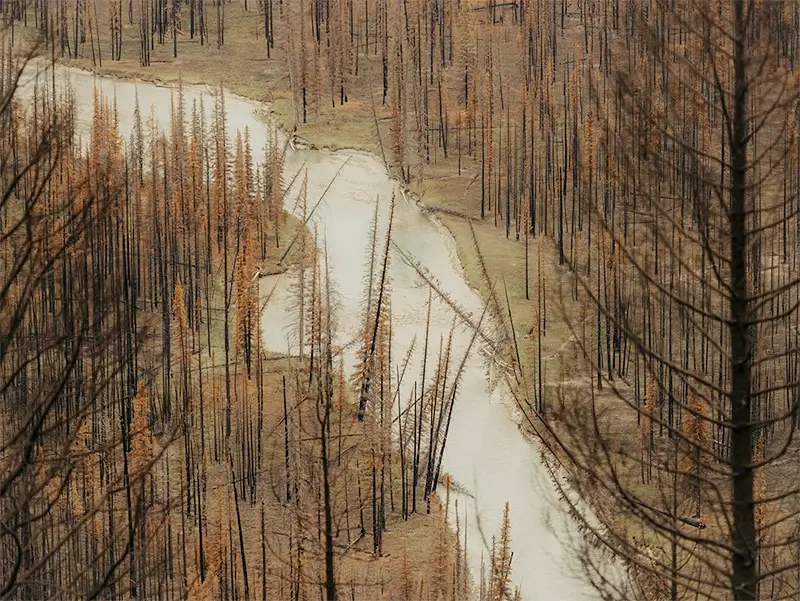 2025 Booooooom Photo Awards