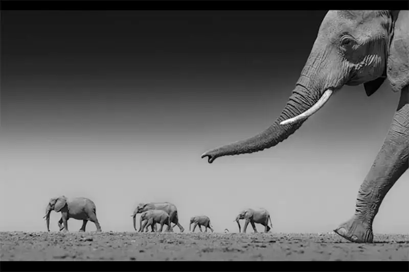 36 Memorial Maria Luisa Photo and Video Contest 36 Memorial Maria Luisa Photo and Video Contest