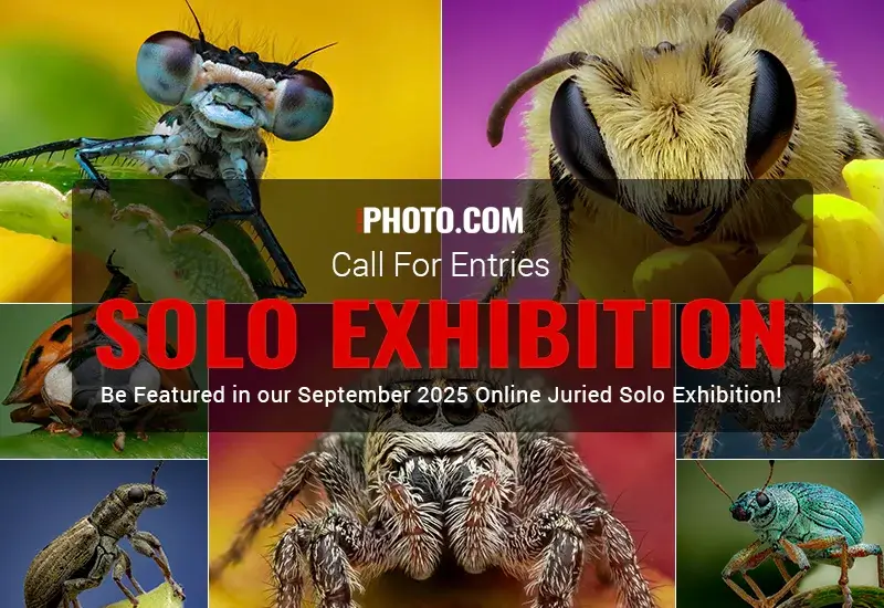AAP Solo Exhibition September 2025 AAP Solo Exhibition September 2025