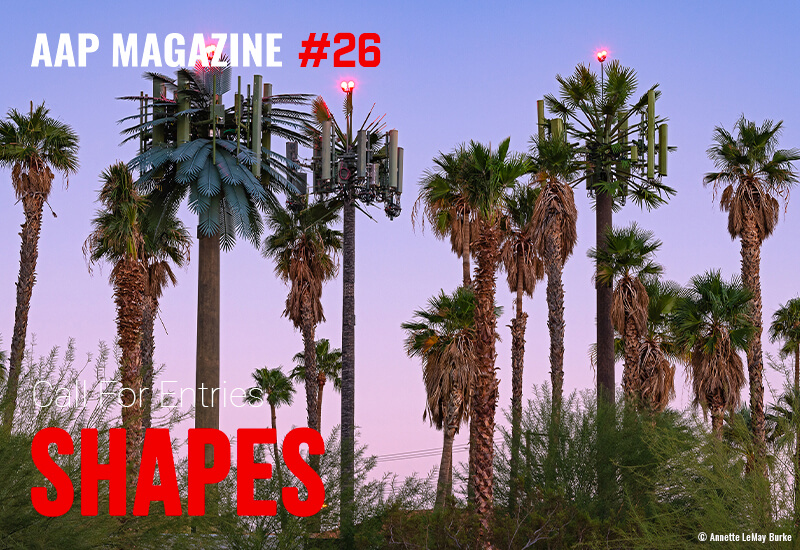 AAP Magazine#26: SHAPES