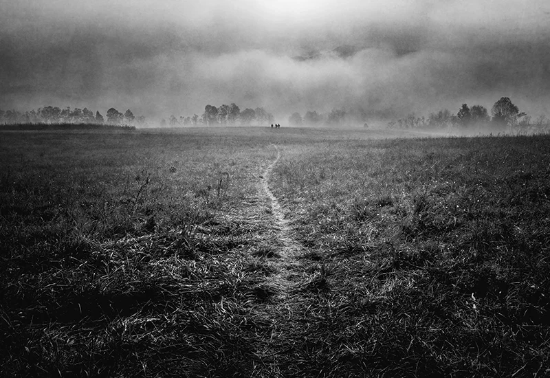 AAP Magazine 49: Black and White AAP Magazine 49: Black and White