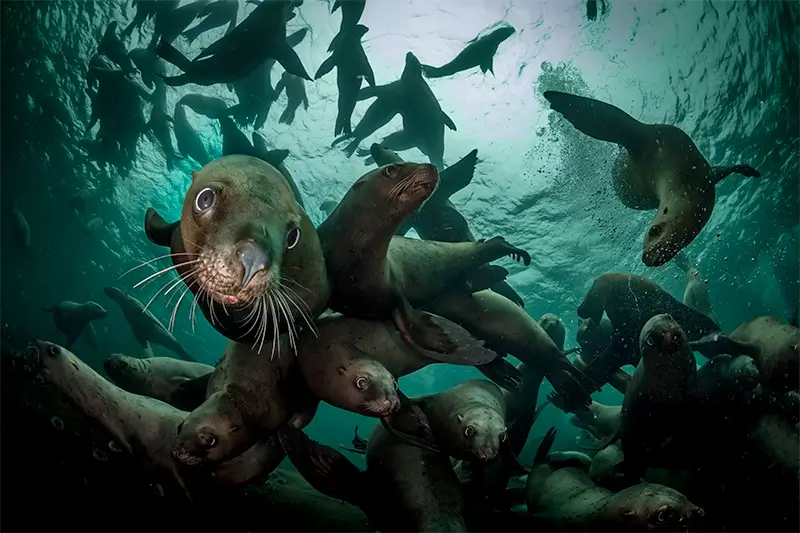 Academy Photo Awards 2026