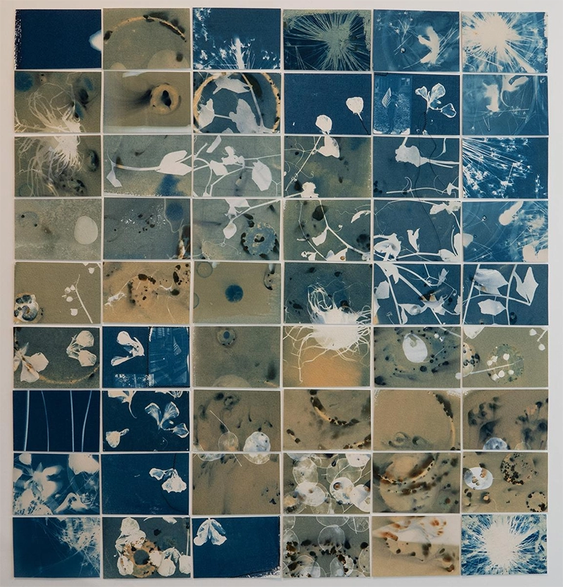 Alternative Processes Competition Alternative Processes Competition