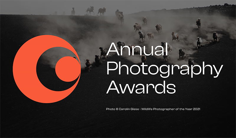 Annual Photography Awards 2024