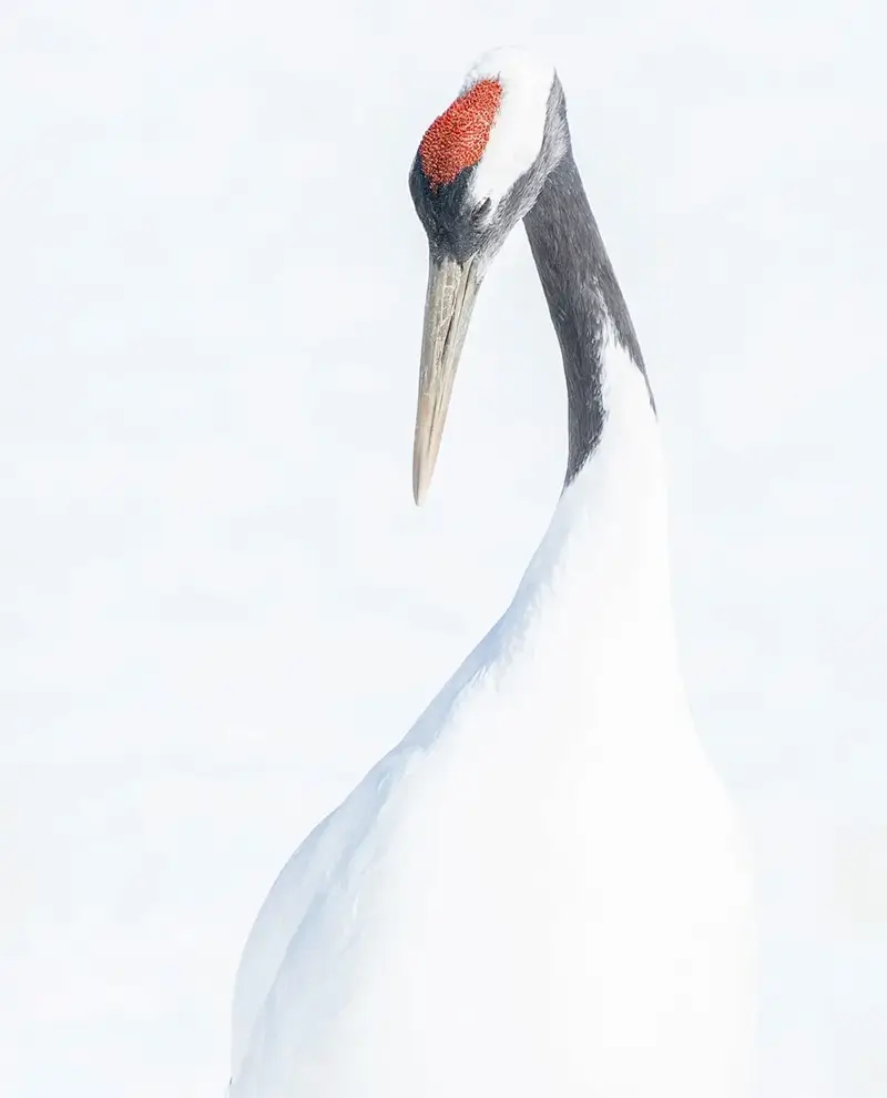 Anthology Photography Award 2026