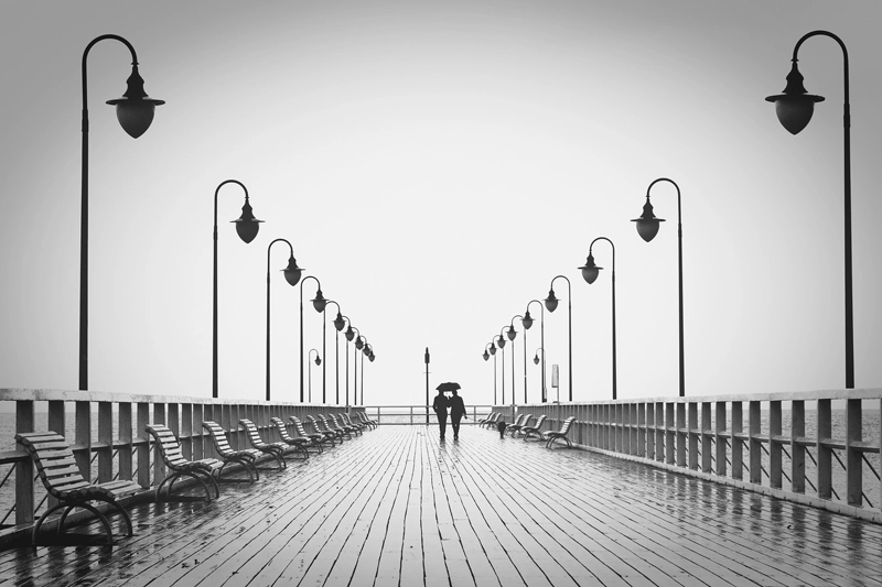 The Motif Collective: Black and White 2026