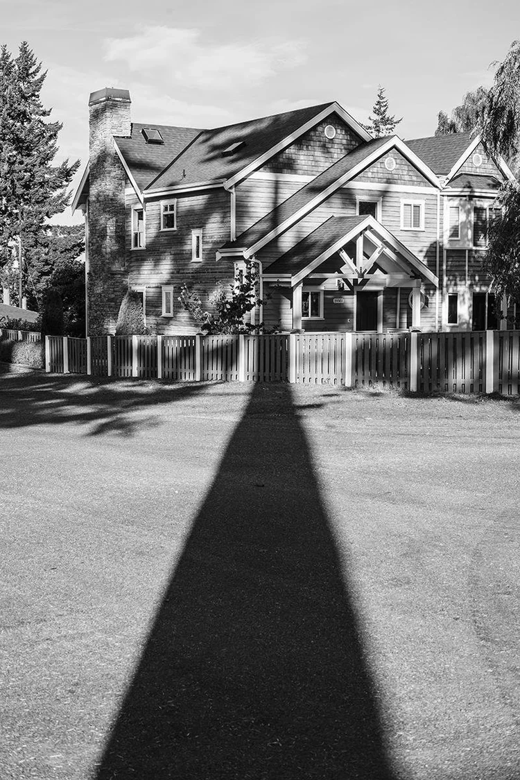 Black, White, & Monochrome