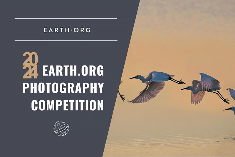Earth.Org Photography Competition 2024