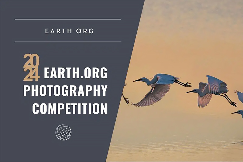 Photography Competition 2025 Photo Contest