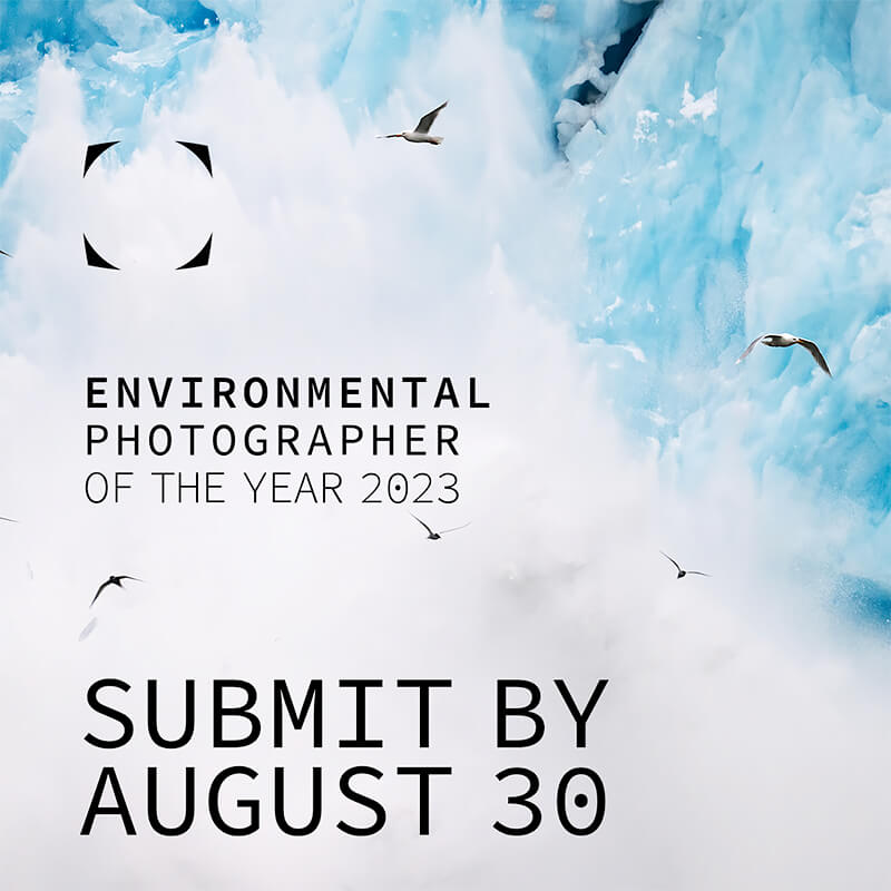 The Environmental Photographer of the Year 2023