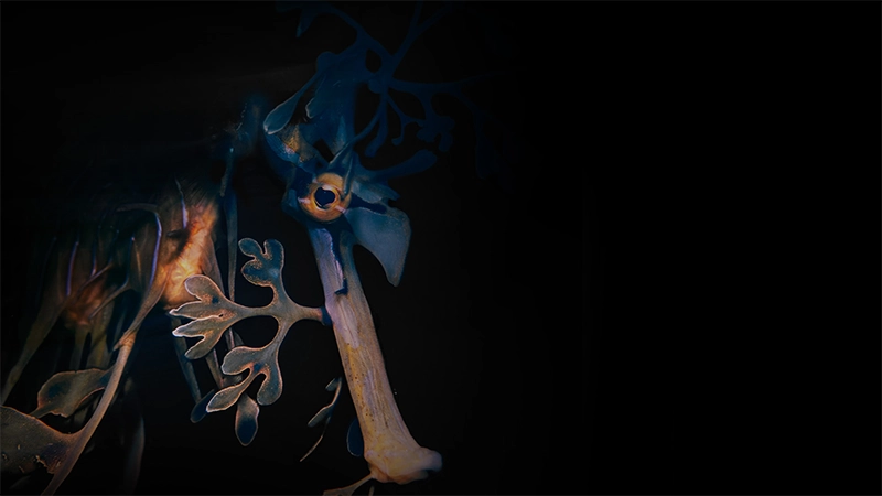 Environmental Photography Award 2026 Environmental Photography Award 2026