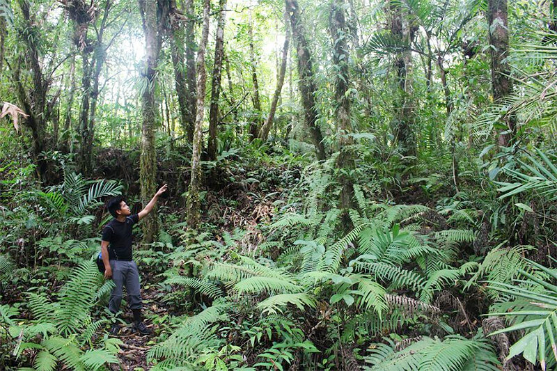 National Geographic: Equity and the Natural World Grant