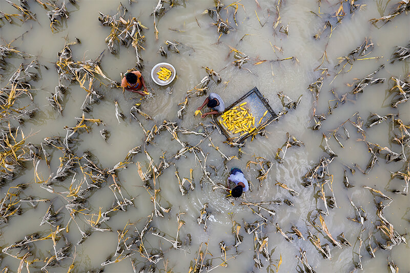 Faces of Climate Change