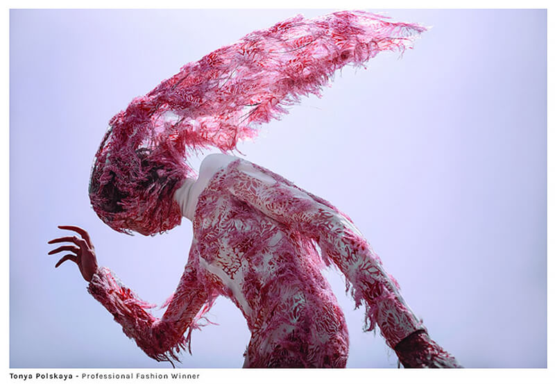 Fine Art Photography Awards 2024-2025 Fine Art Photography Awards 2024-2025