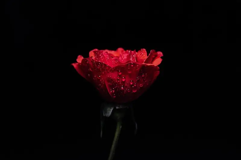 10th Flower