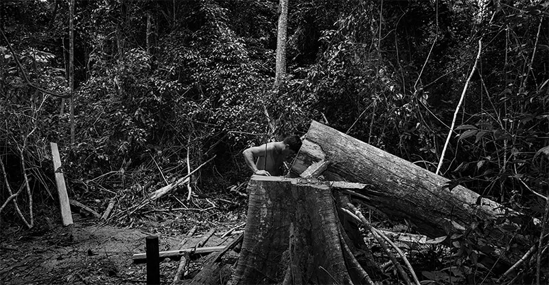 12th Carmignac Photojournalism Award 12th Carmignac Photojournalism Award