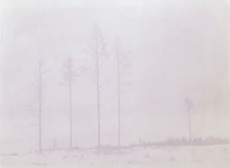 Form Photo Award / SCOPE MIAMI